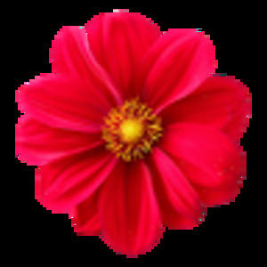 Meet your Posher, Ladonna